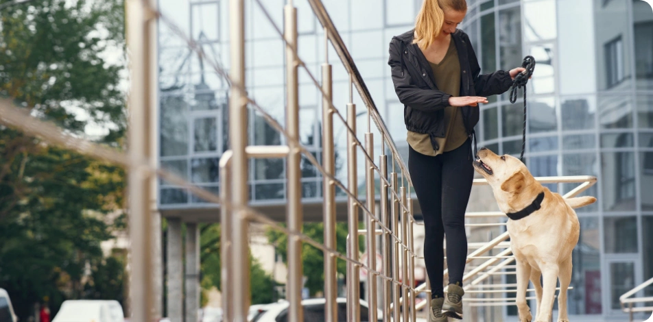 Entretención & vida de barrio